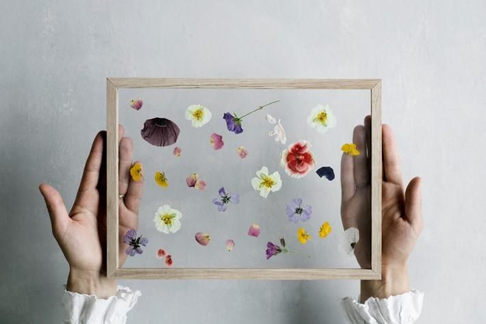 MOEBE FRAME A5