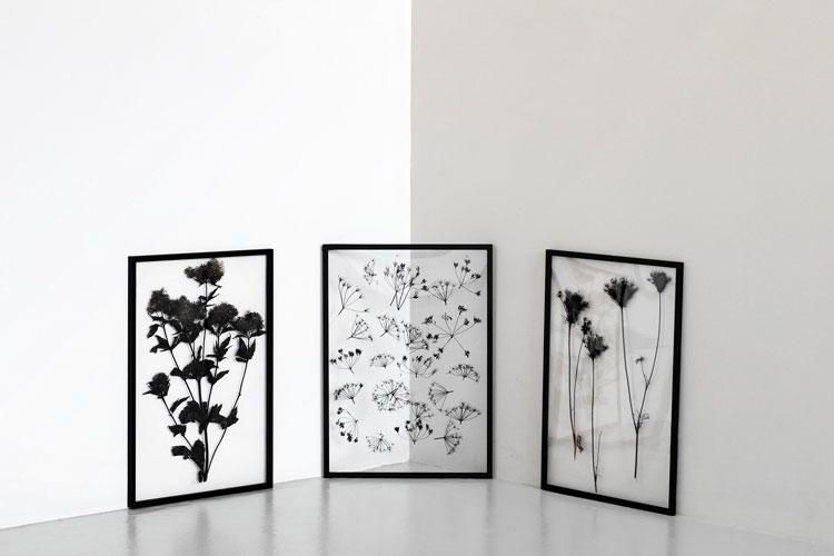 MOEBE FRAME A5