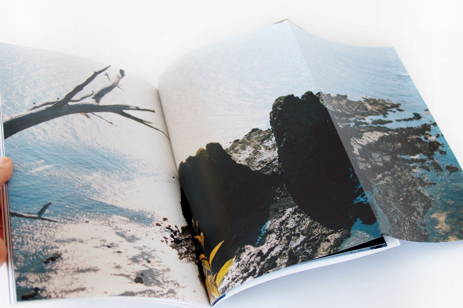 SHIRETOKO SUSTAINABLE 海と、森と、人。vol.8