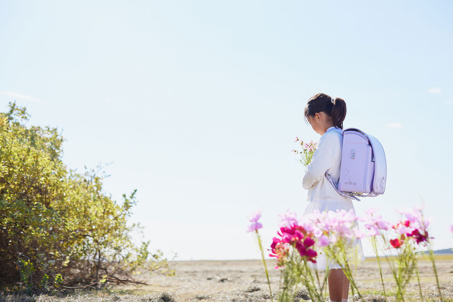 ランドセル販売会2026来場予約