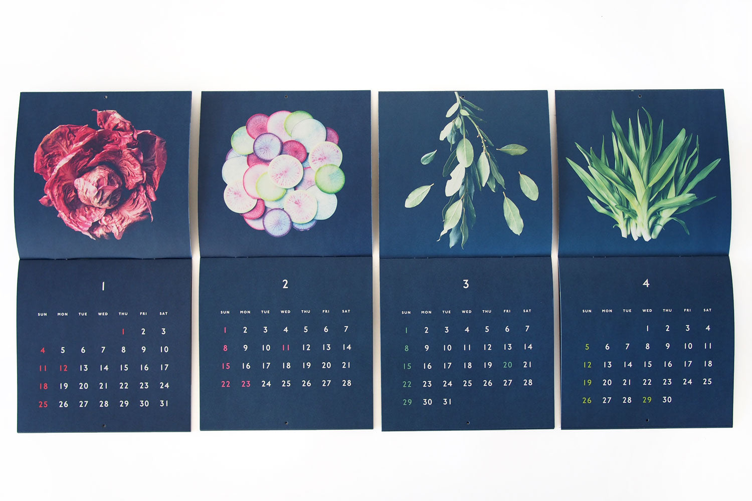 SSAW お野菜カレンダー2026 ／ たかはしよしこ