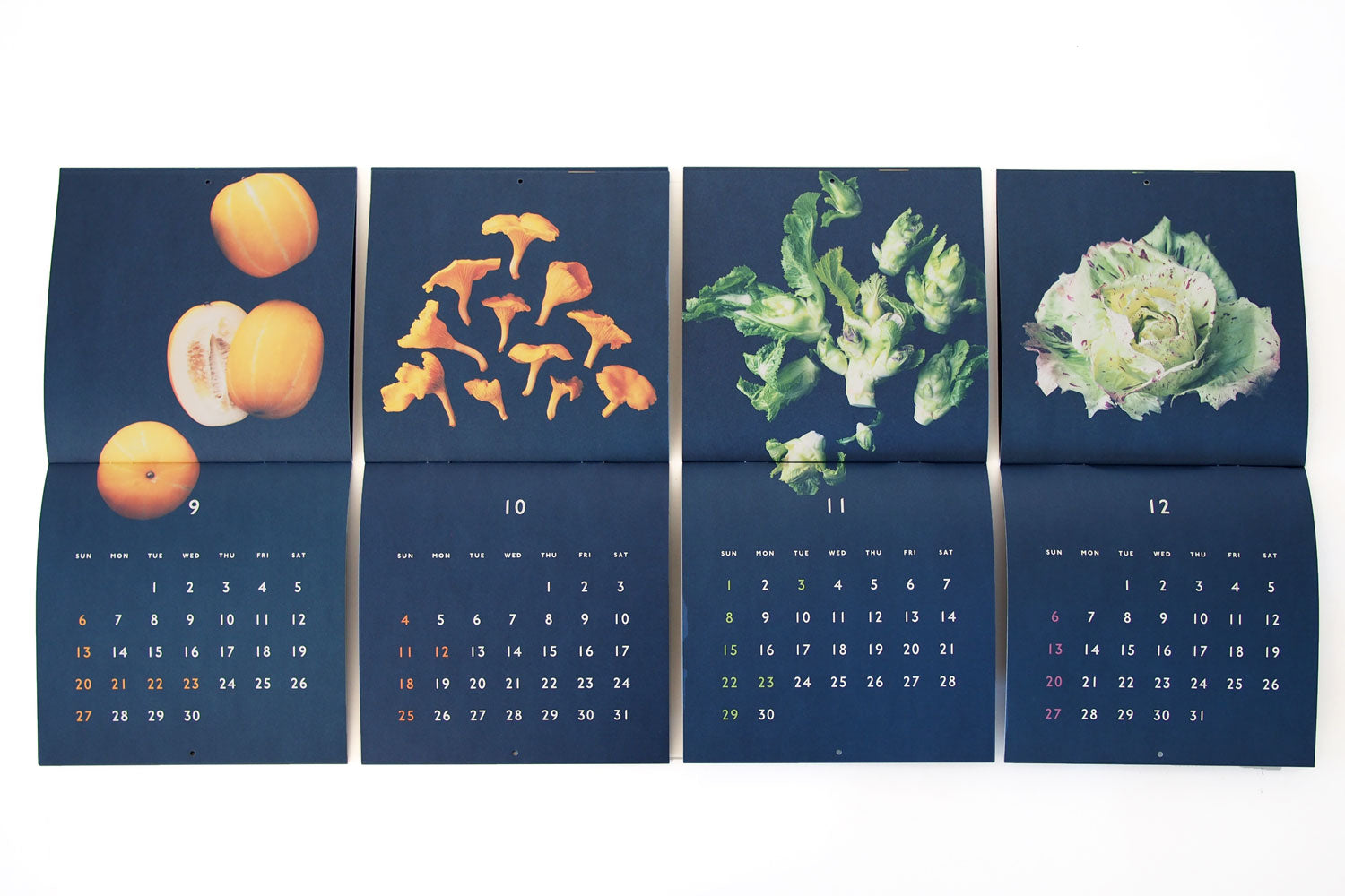 SSAW お野菜カレンダー2026 ／ たかはしよしこ