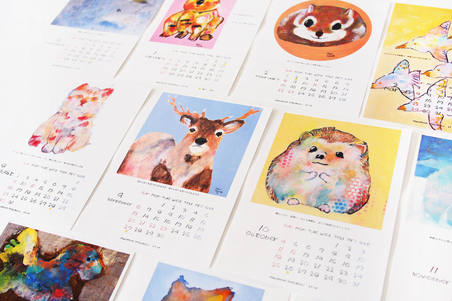 タキハナヤスカズ オリジナルカレンダー2026 ／ 滝花保和