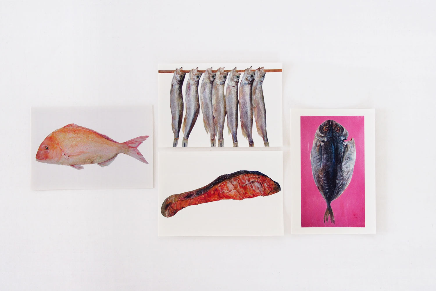 加藤休ミ　魚ポストカード