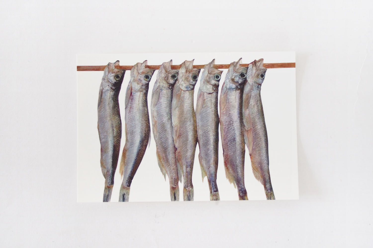 加藤休ミ　魚ポストカード