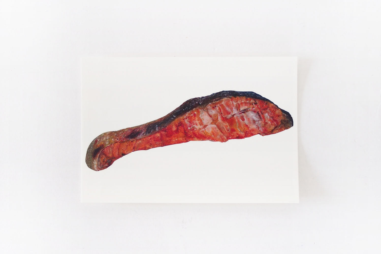 加藤休ミ　魚ポストカード