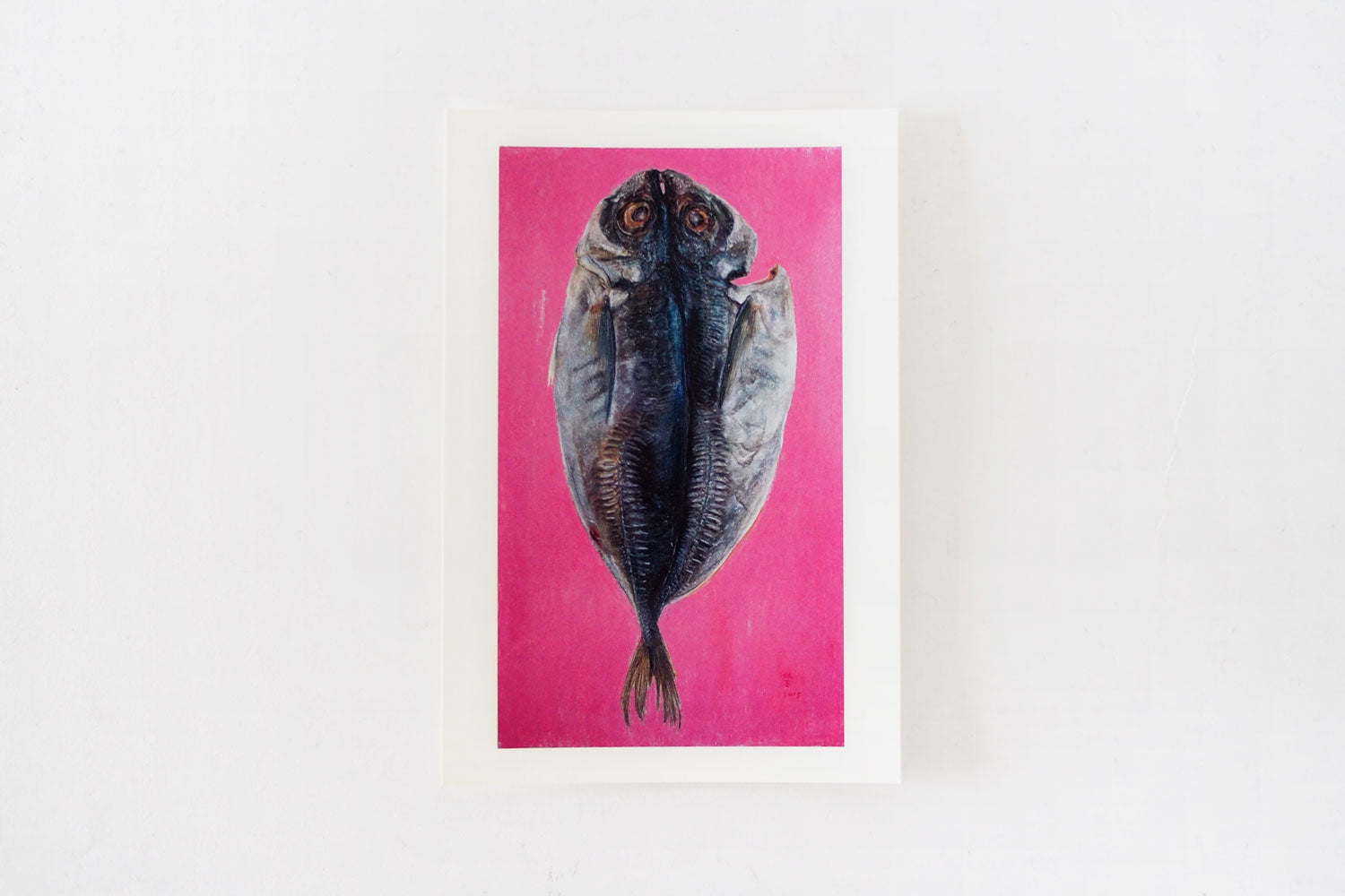 加藤休ミ　魚ポストカード