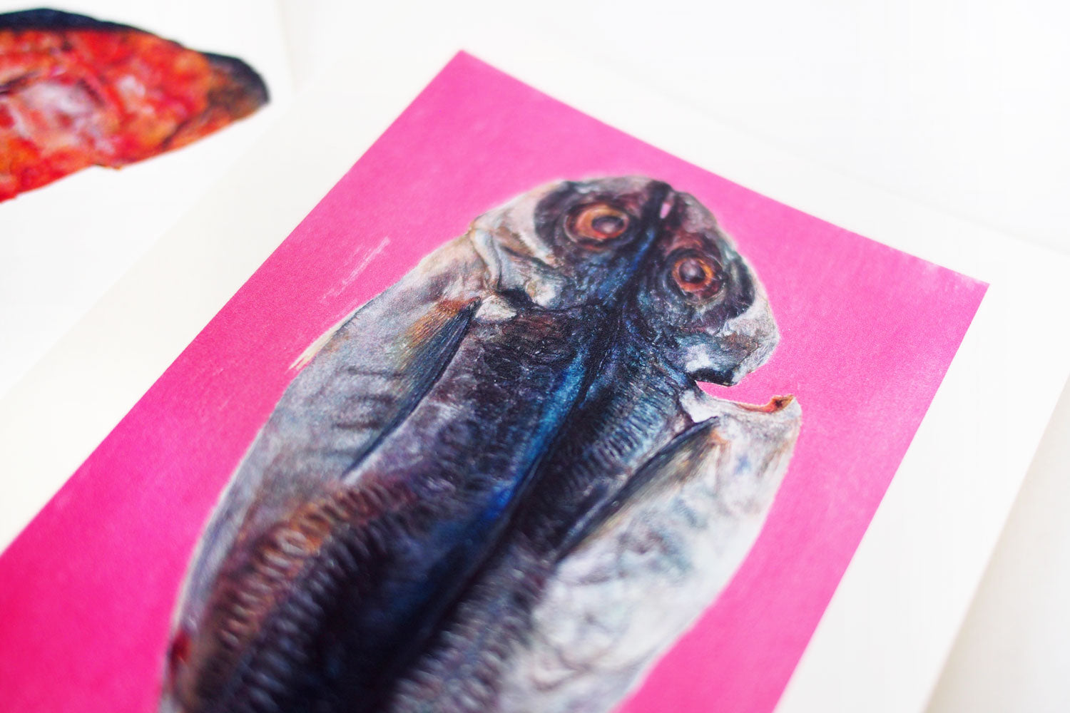 加藤休ミ　魚ポストカード