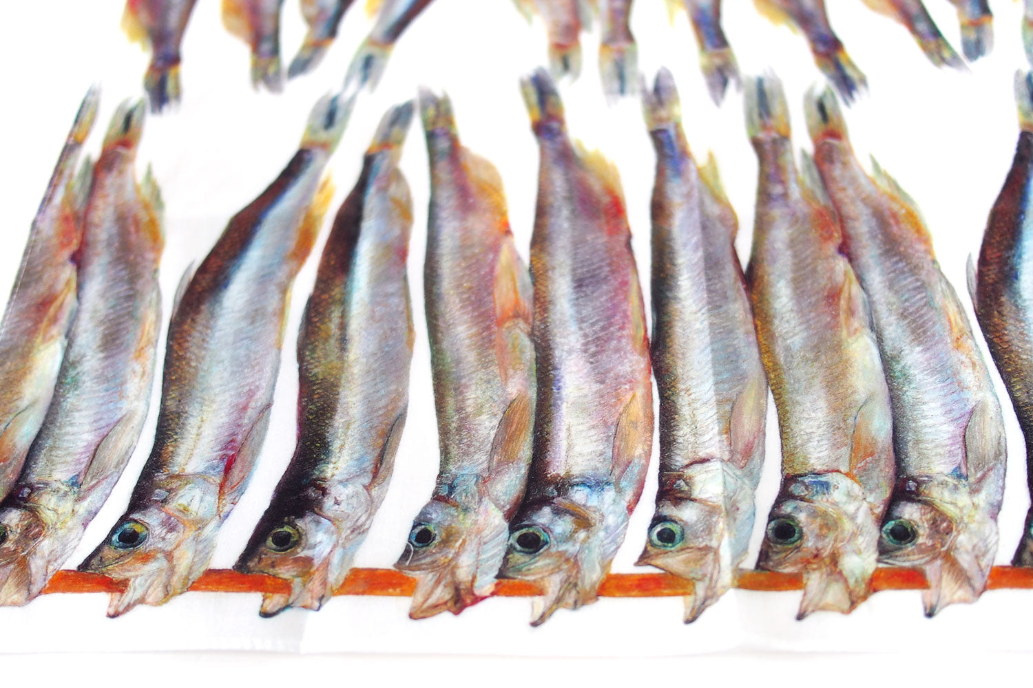 ししゃもハンカチ ／ 加藤休ミ