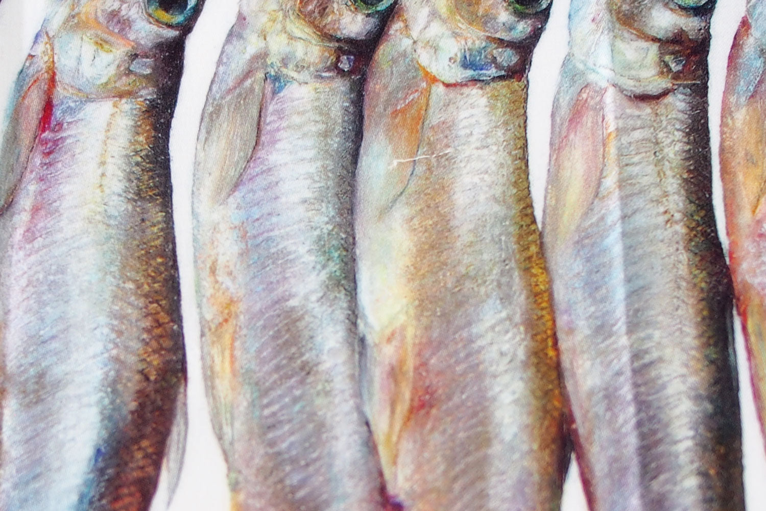 ししゃもハンカチ ／ 加藤休ミ