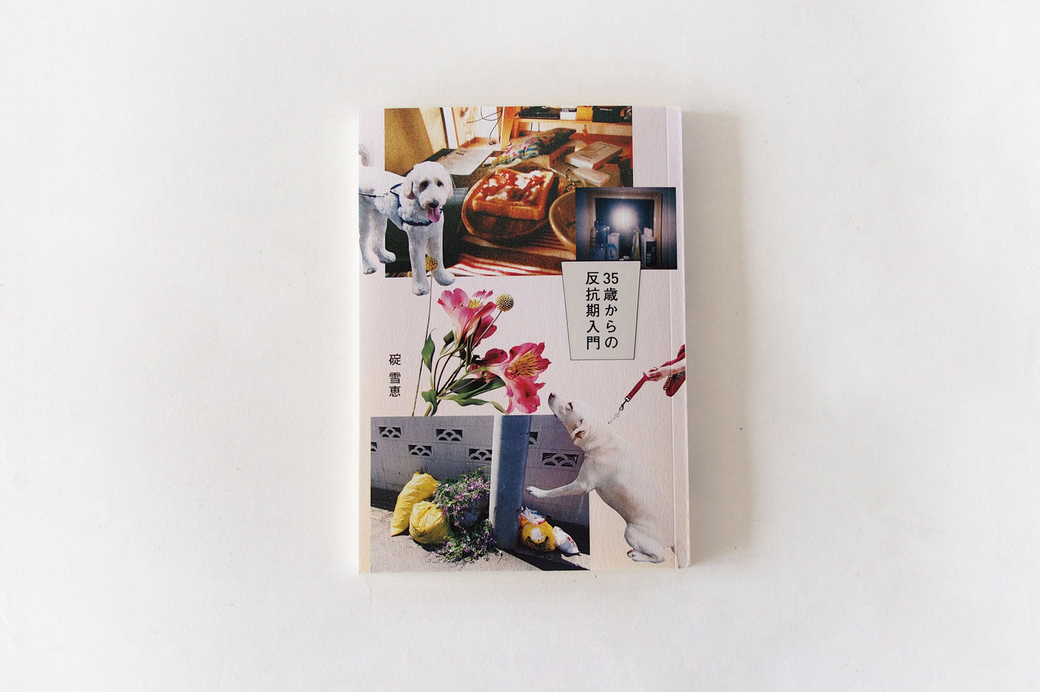 「35歳からの反抗期入門」 碇雪恵