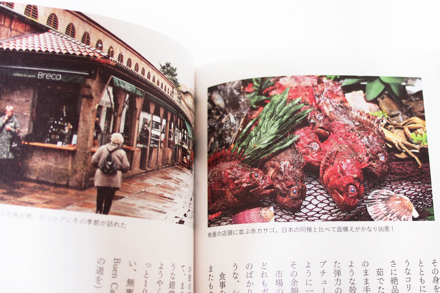 「GLOCAL FOODIE TOUR ~世界の隅々で食い倒れ~」 サラーム海上（阿佐ヶ谷書院）