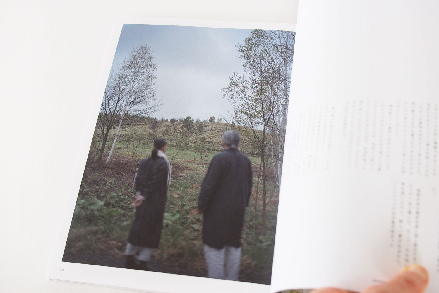 nice things. (issue 85)
