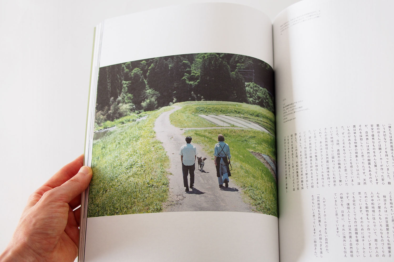 nice things. (issue 85)