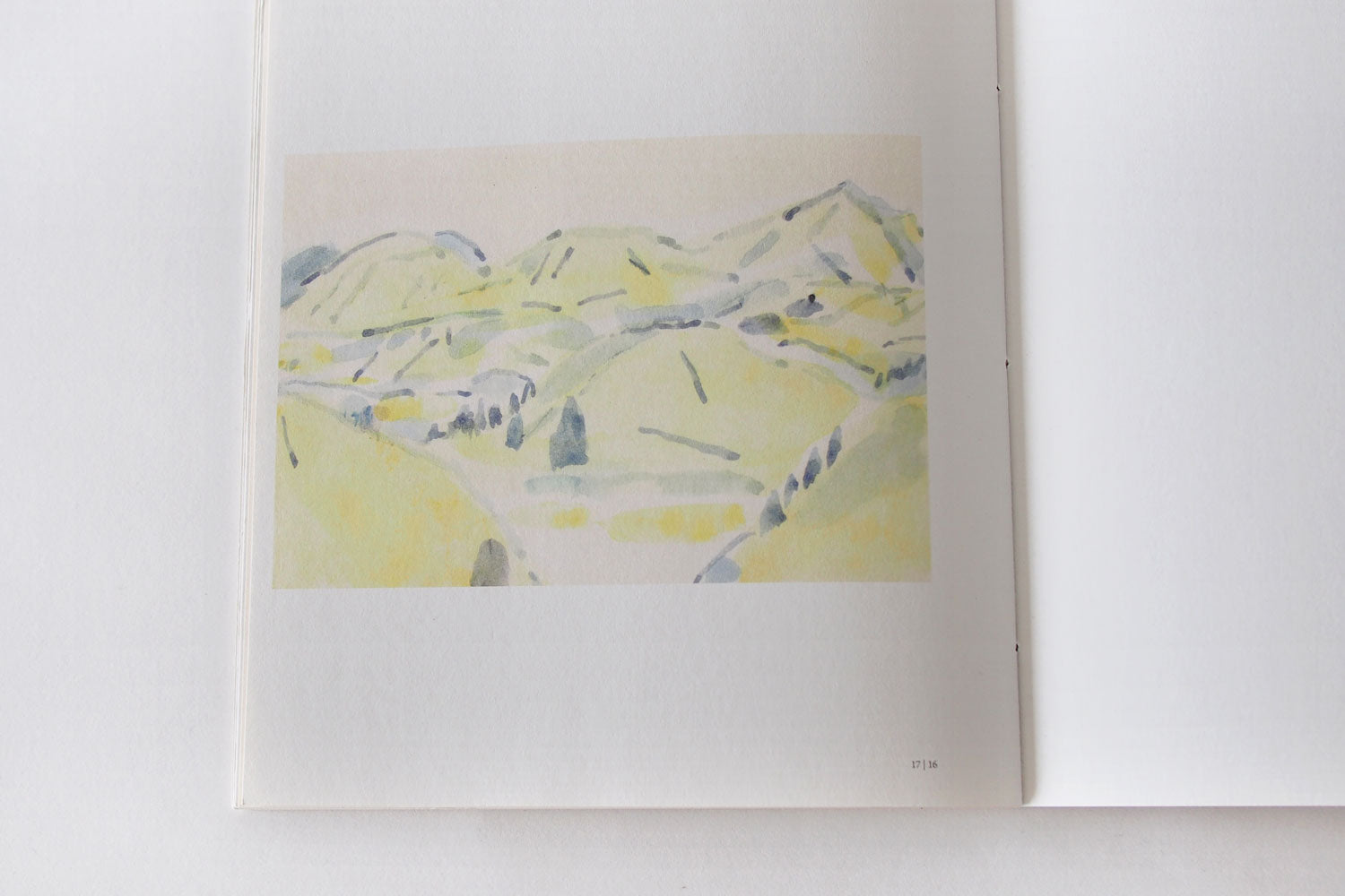 保手濱拓 作品集「Field Notes Kuju Aso 2025」（MINOU BOOKS）