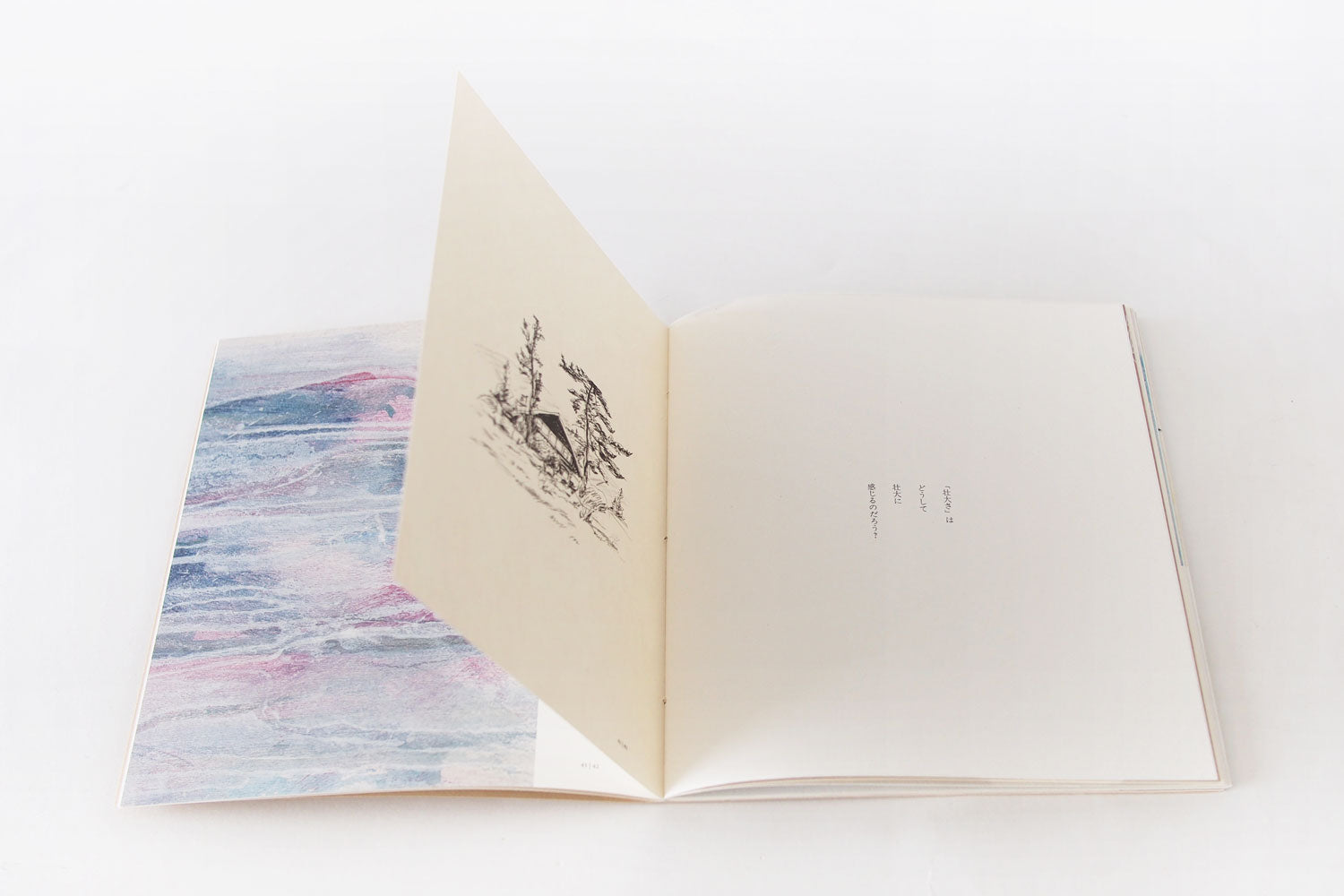 保手濱拓 作品集「Field Notes Kuju Aso 2025」（MINOU BOOKS）