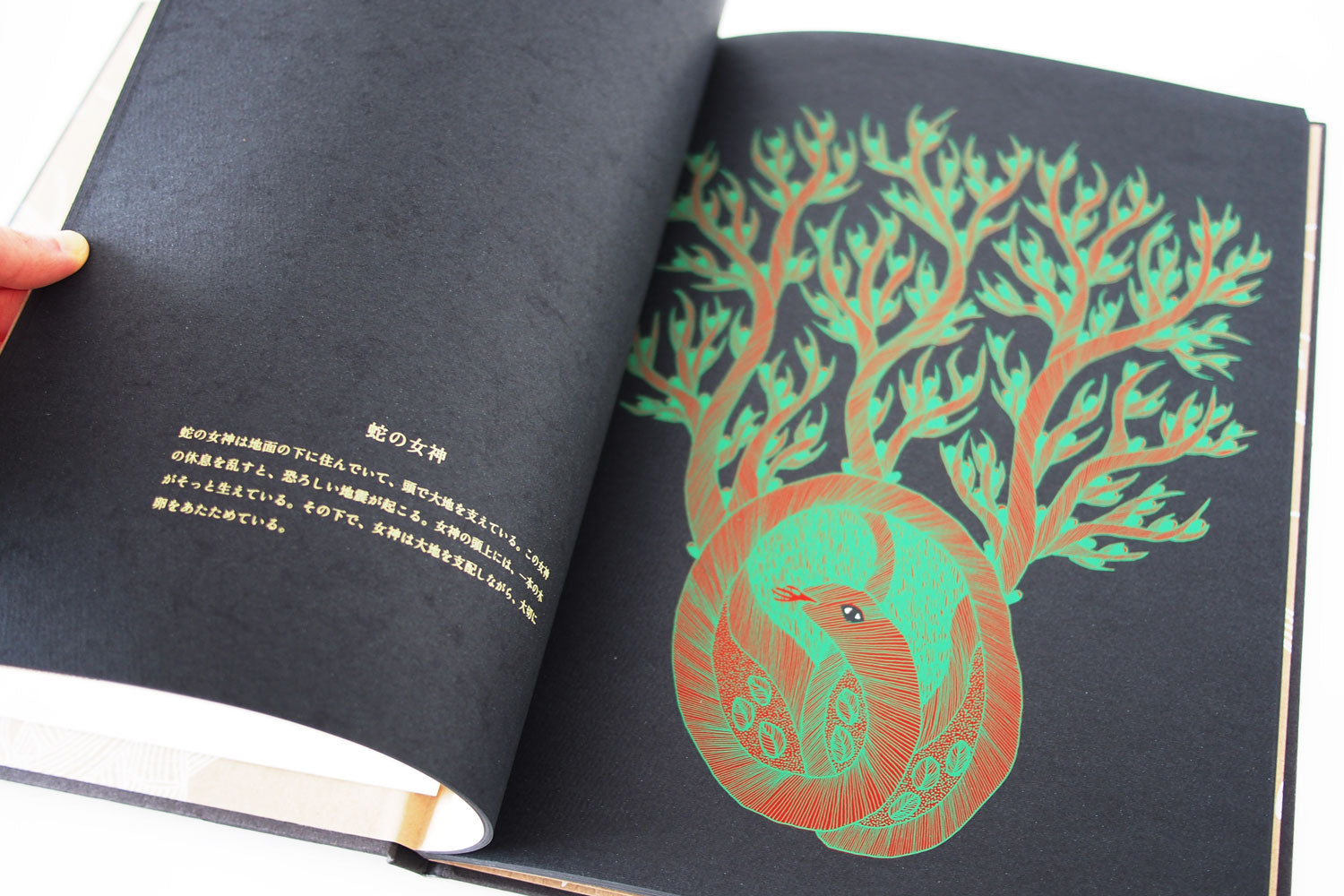 夜の木（第13刷）／Tara Books – ヒシガタ文庫