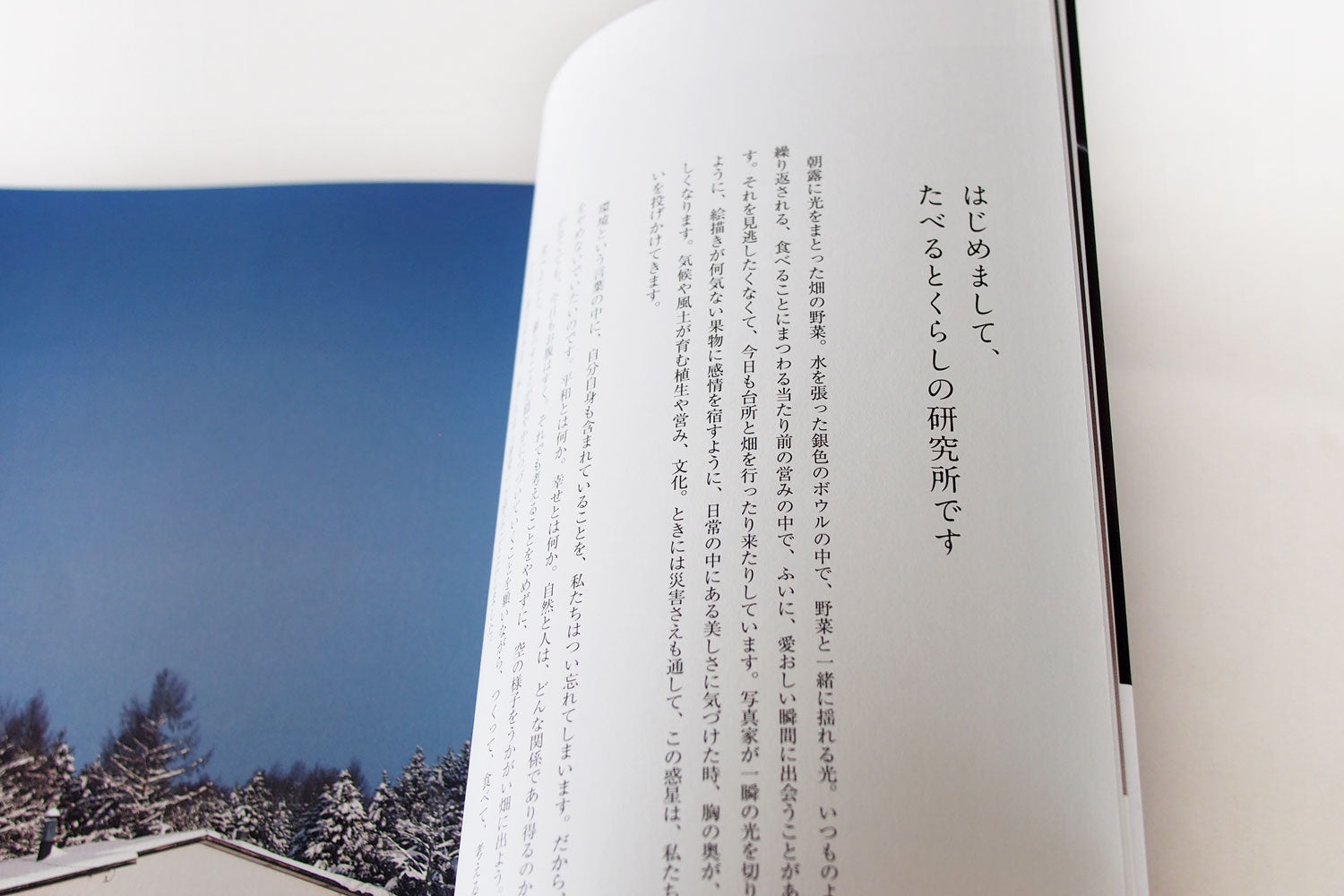 「たべるとくらしの料理帖」 たべるとくらしの研究所（主婦と生活社）