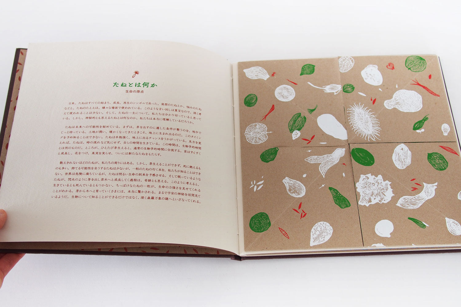 たね／Tara Books