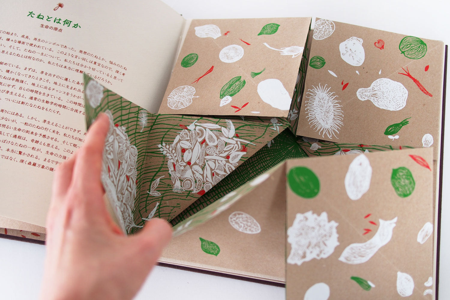 たね／Tara Books