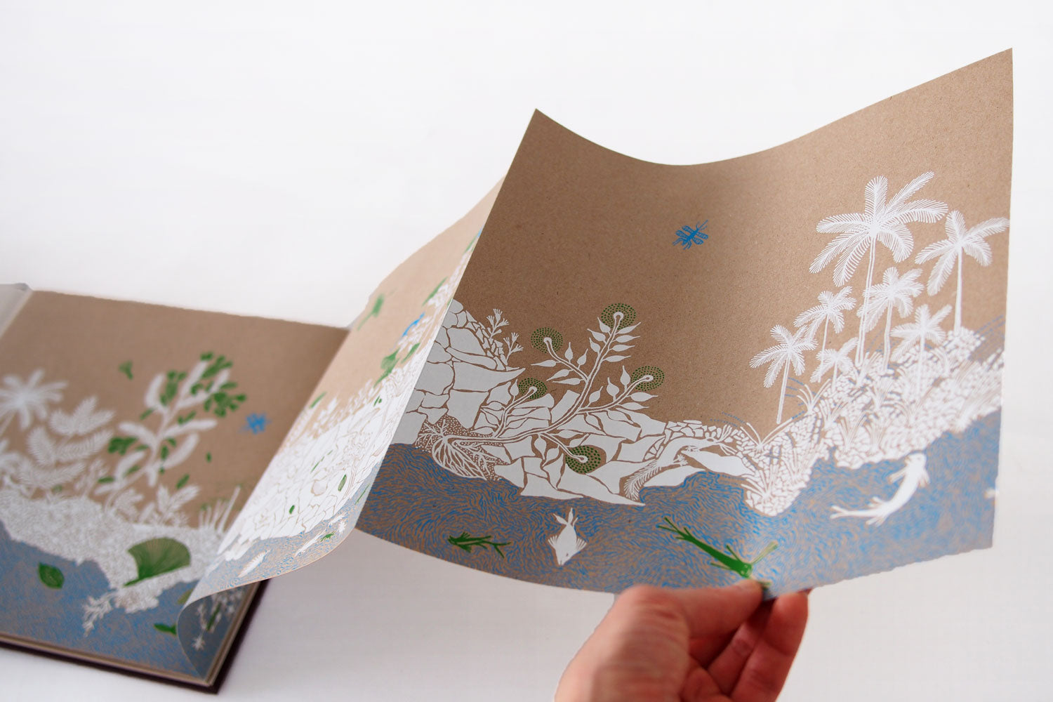 たね／Tara Books